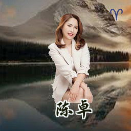 陈卓
